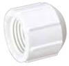 3/4IN PVC THREADED CAP 448-007  035424